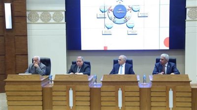 باحثون: ما أحدثته مصر في مجال الكهرباء هو خطوة مهمة في الحفاظ على البيئة