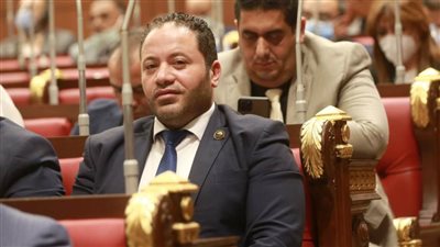 عضو بالشيوخ: قانون حقوق المسنين يضمن لهم حياة كريمة ويعكس حرص الدولة على رعايتهم