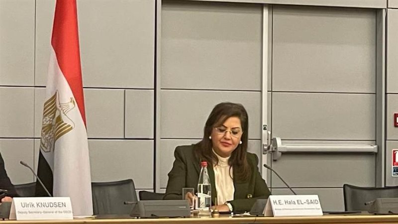 وزيرة التخطيط