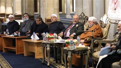 هيئة كبار العلماء: الأزهر كان ولا يزال الوعاء الحافظ للغة العربية