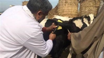 محافظ الشرقية يشيد بمجهودات الطب البيطري في ضبط الأسواق