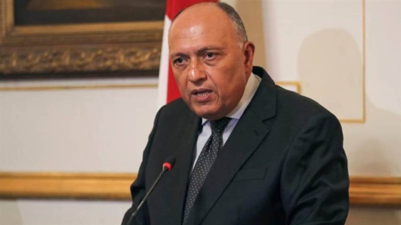 وزير الخارجية سامح