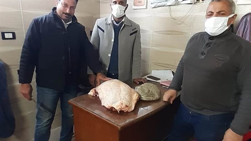 ضبط لحوم غير صالحة