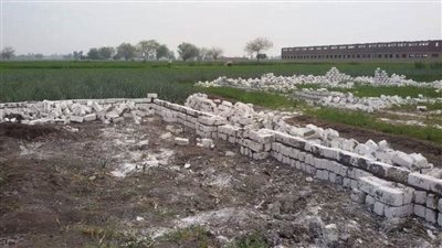 خلال عام 2021.. إزالة 53885 حالة تعدٍّ على الأراضي الزراعية بالشرقية 