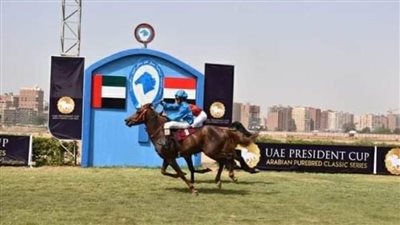يحدث اليوم| بطولة الشيخ زايد للخيول العربية ومباريات مهمة في الدوري المصري  