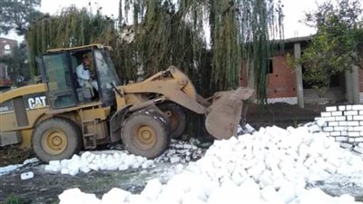 إزالة 8 حالات تعدٍ على الأراضي الزراعية في حملة بالبحيرة 