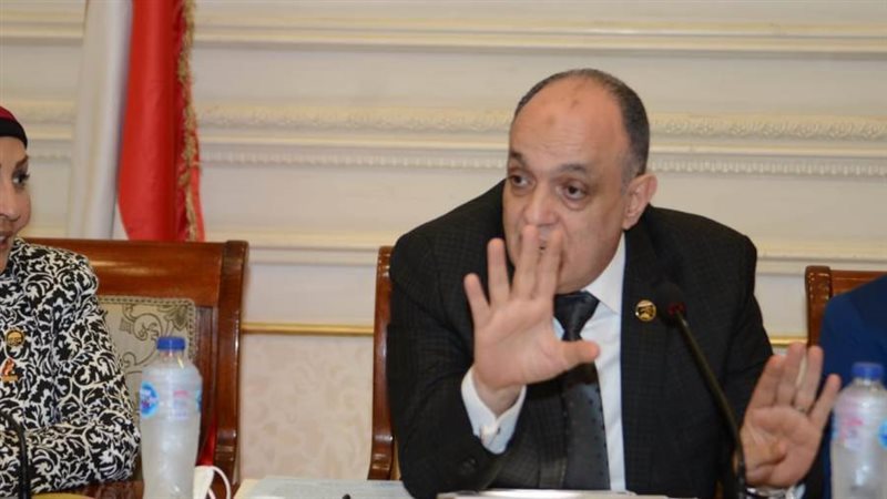 رئيس لجنة المشروعات