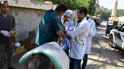 قافلة جامعة سوهاج البيطرية المجانية تنطلق لقرية الطليحات وتناظر ٤١٠ حالات
