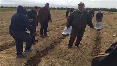 زراعة 3 أفدنة بالنباتات الطبية والعطرية في قرية أم شيحان بوسط سيناء