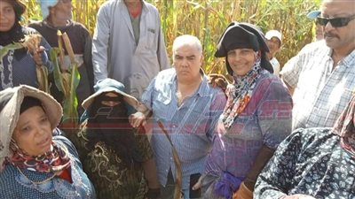 زيارات ميدانية لتوفير الرعاية للعمالة غير المنتظمة بكفر الشيخ