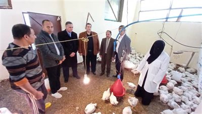 افتتاح الدورة الأولى لتسمين الدواجن بالمدرسة الزراعية في العريش