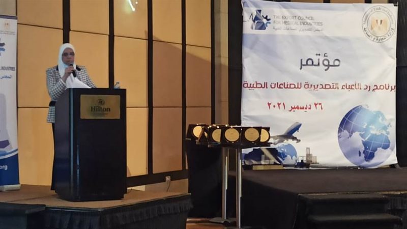 الرئيس التنفيذي لصندوق