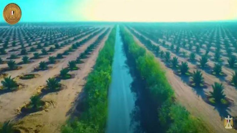 توشكي الخير مشروع