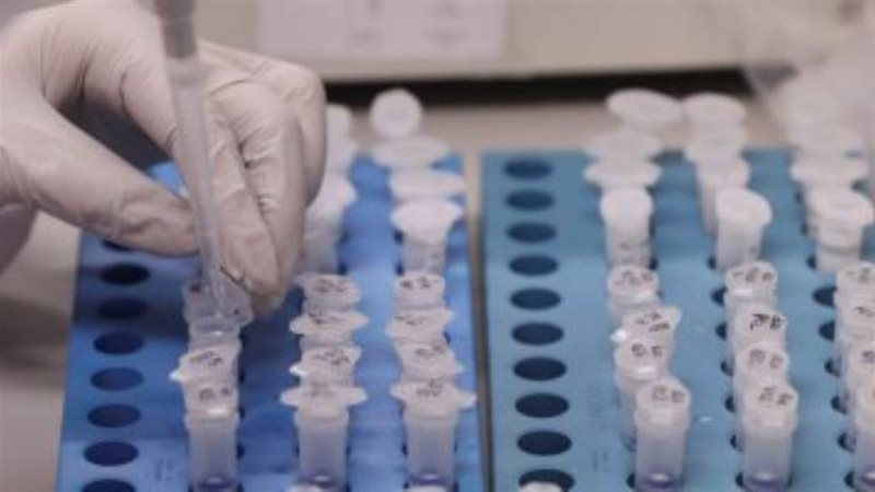 الجرعة التنشيطية