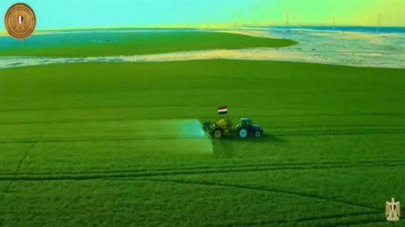 توشكى الخير