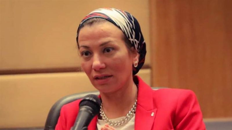 الدكتورة ياسمين فؤاد