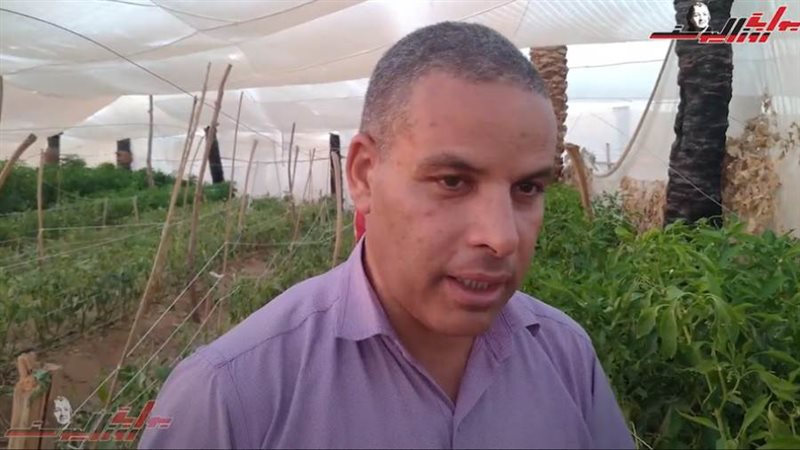 مشروعات زراعية بالوادي