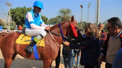 الجواد جوهر سعفان يفوز بكأس رئيس دولة الإمارات للخيول العربية