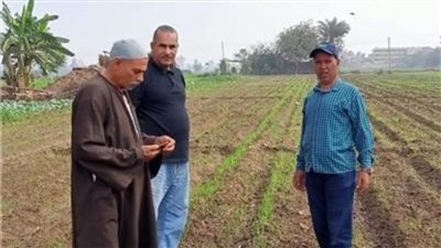  بدء ..الحملة القومية للنهوض بمحصول القمح بالإسماعيلية