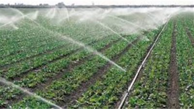  الانتهاء من تحويل ٨٠٠ ألف فدان للري الحديث من خلال المزارعين