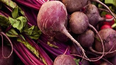 زراعة 5 آلاف فدان بنجر سكر بدمياط