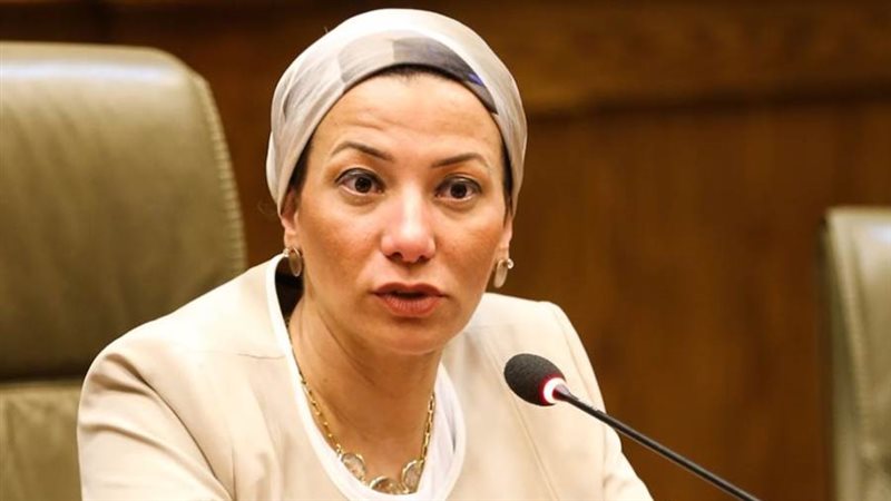 الدكتورة ياسمين فؤاد