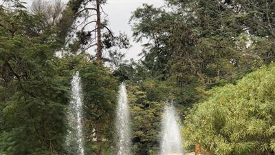 وزارة الرى تواصل تطوير الحدائق التابعة لها بالقناطر الخيرية 