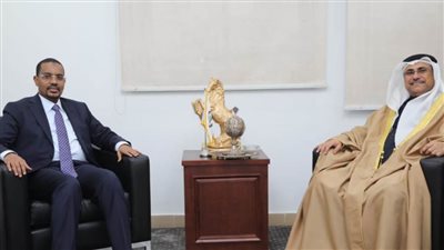 العسومي يدعو الأطراف الصومالية للانخراط في حوار وطني