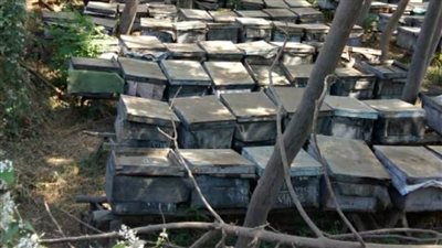 بقيمة 4 ملايين جنيه.. تمويل 498 مشروعا اقتصاديا للشباب خلال 2021 بـ”المنوفية“