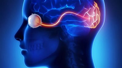 دراسة: صور شبكية العين قد توفر علامات إنذار مبكر للإصابة بالسكتة الدماغية