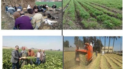 محافظ الشرقية يشيد بمجهودات إدارة الإرشاد الزراعي بمديرية الزراعة