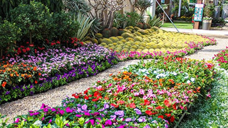 معرض زهور الربيع