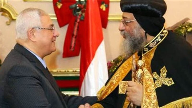 المستشار عدلي منصور