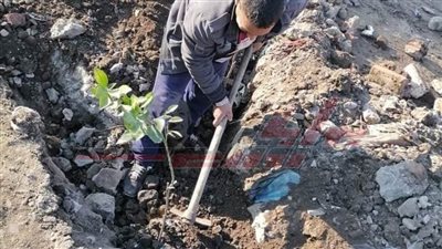 تجميل مدينة 