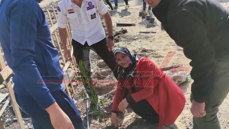 زراعة الأشجار