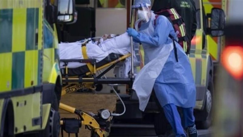 بوابة روز اليوسف