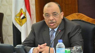 شعراوي: 227 وحدة تكافؤ فرص للمرأة في المحافظات لتمكينها سياسيا واقتصاديا واجتماعيا