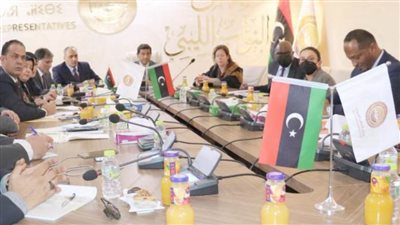 لجنة خارطة الطريق الليبية تلتقي بمستشارة الأمين العام للأمم المتحدة 