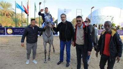 غدًا.. انطلاق مهرجان عبد الخالق سعفان للخيول بالجزيرة