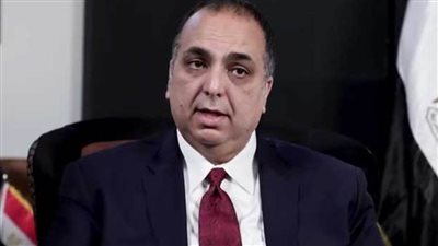 دعبس: منتدى شباب العالم أصبح المنصة الحوارية الأهم للشباب للتعبير عن آرائهم