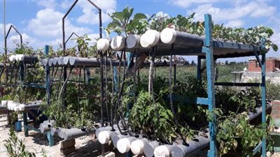 توفير ٨٦ ألف فرصة قروض لشباب البحيرة