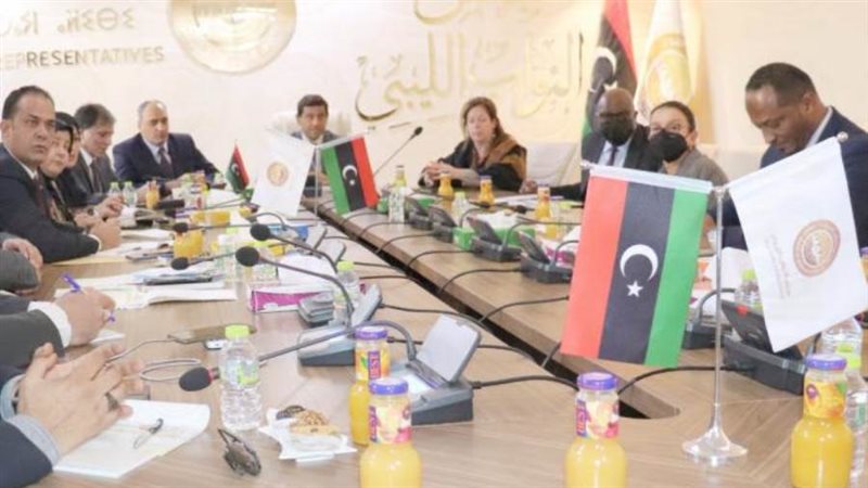 لجنة خارطة الطريق