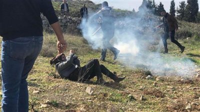  هيئة فلسطينية: 33 أسيرة في سجن 