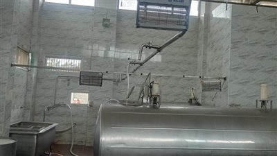 فرق الطب البيطرى تتابع مراكز تجميع الألبان الجديدة والمطورة بالبحيرة