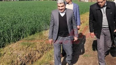 وكيل زراعة كفر الشيخ يتفقد الزراعات الشتوية