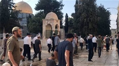 مفتي الديار الفلسطينية يدين اقتحامات المُستوطنين المُكثفة للمسجد الأقصى