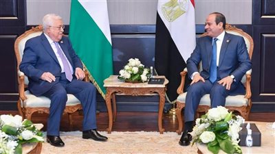 الرئيس السيسي يؤكد دعم التحرك الفلسطيني لإيجاد مسار سياسي يتيح استئناف مفاوضات السلام