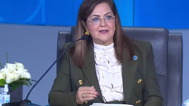 وزير التخطيط والتنمية