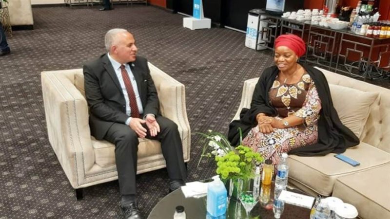 وزير الري يلتقي ماسودي