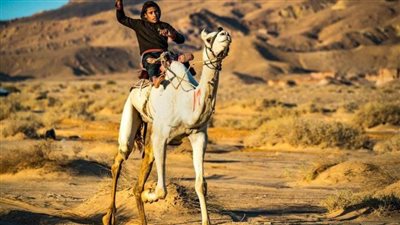 عاجل.. مفاجأة مصرية في أفضل صور الأسبوع بإفريقيا 